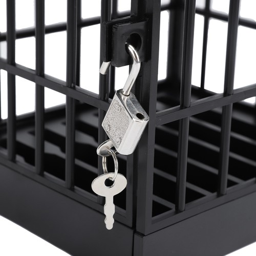 Phone jail lock box - with, timer